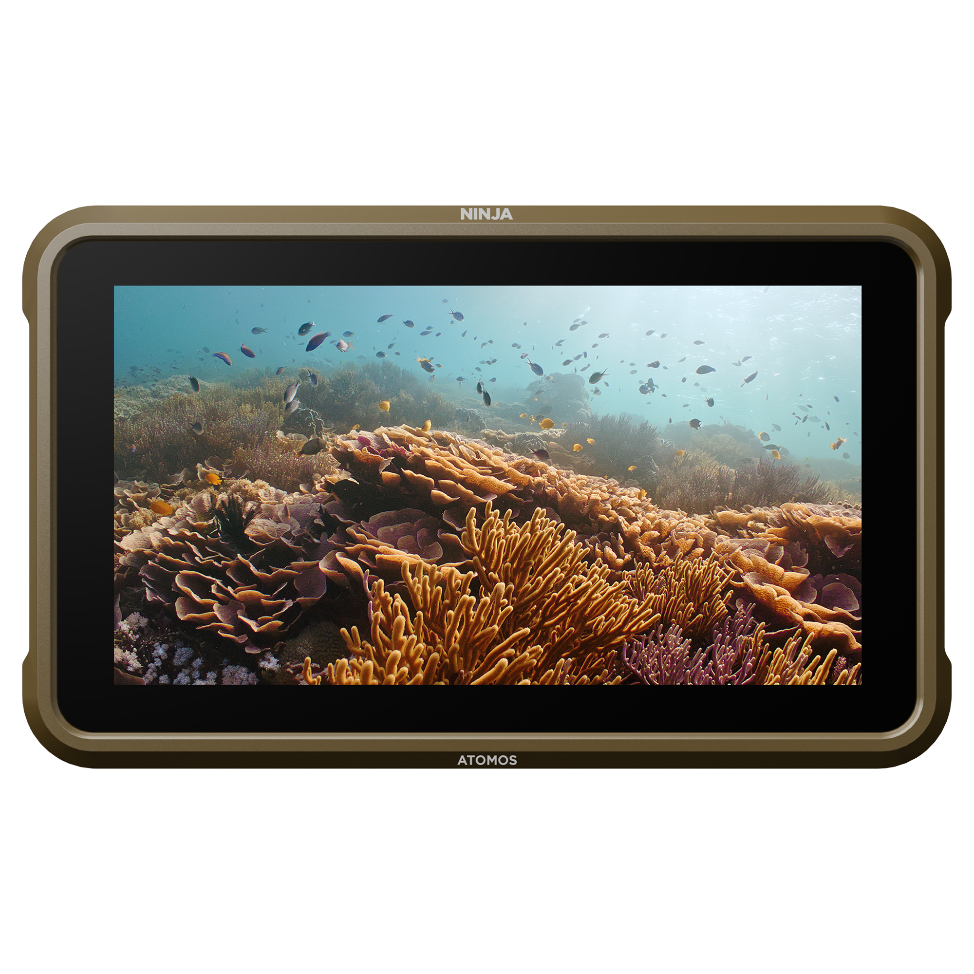 Atomos Ninja Atomos Ninja