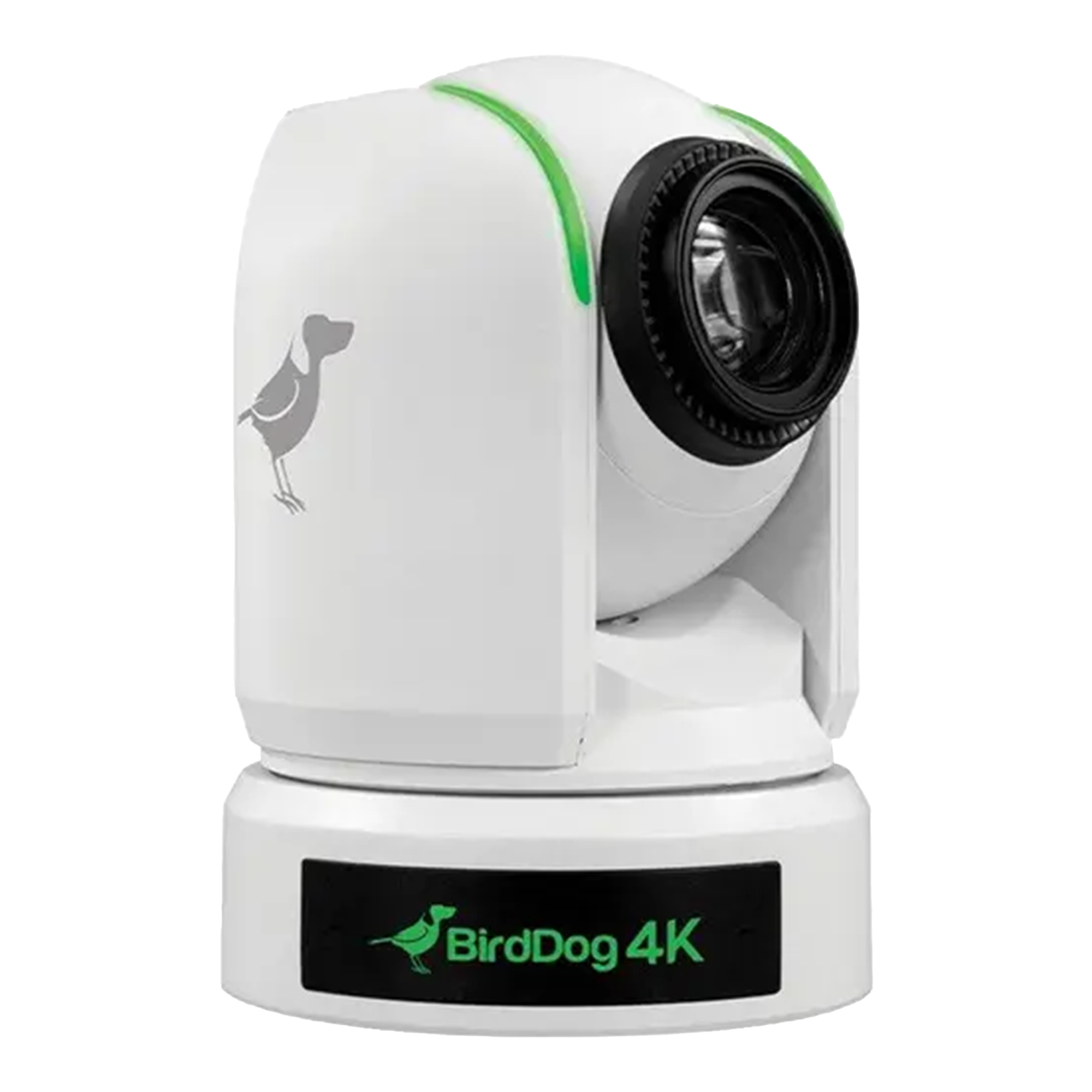 BirdDog P4K White BirdDog P4K White