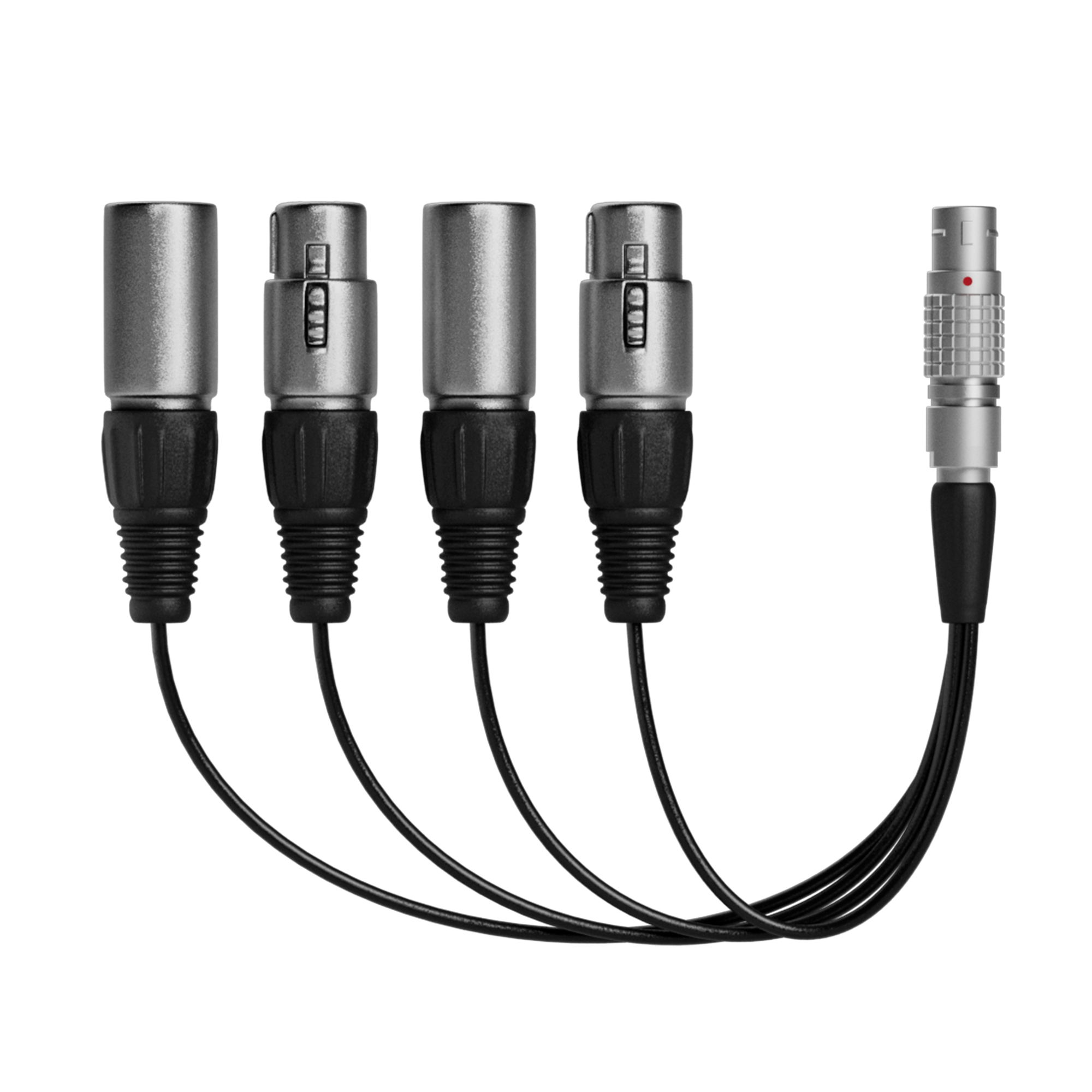 Atomos XLR Breakout Cable (in / out) Atomos XLR Breakout Cable (in / out)