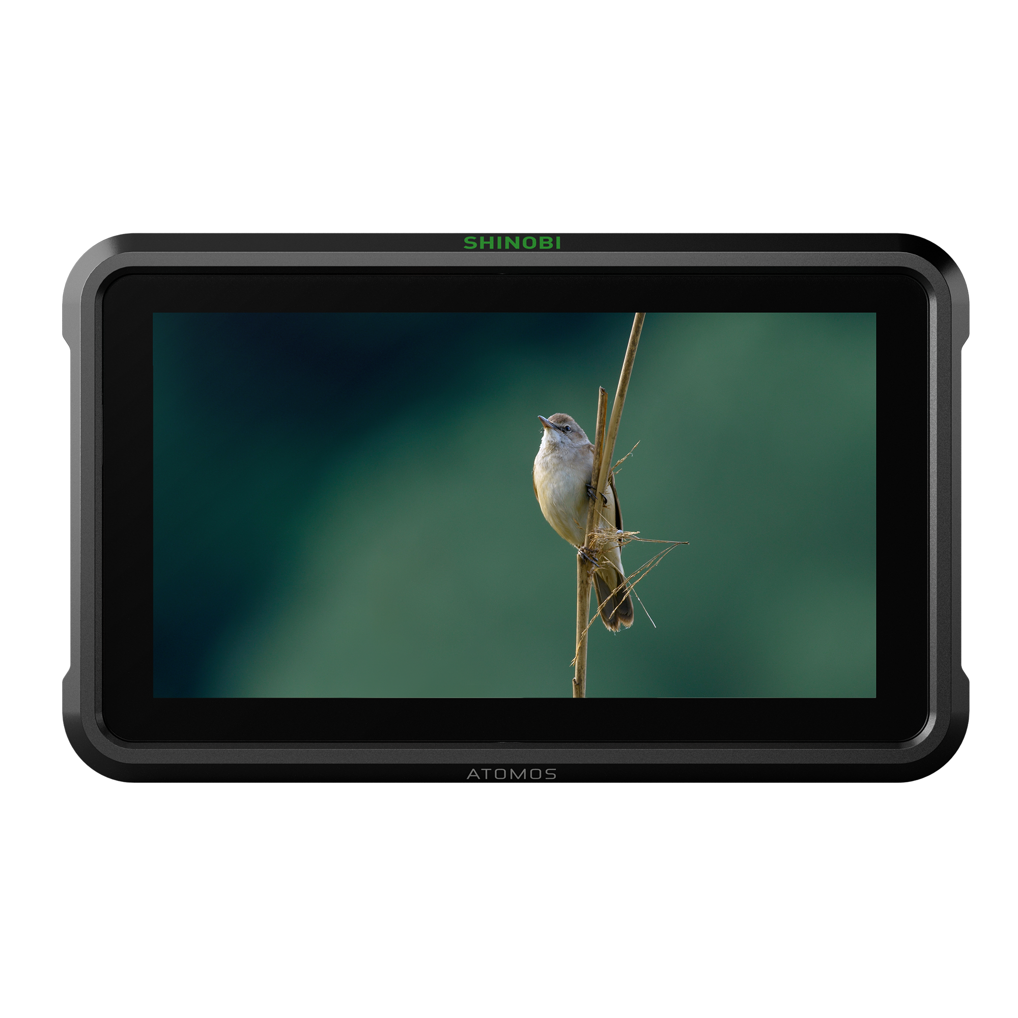 Atomos Shinobi HDMI